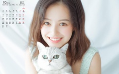 金马战士动画片全集